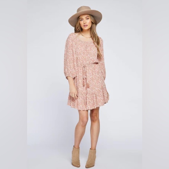 BNWT - Gentle Fawn Stella Dress in the color Clay - Picture 3 of 4